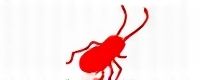 yabby